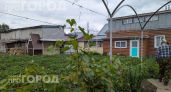 Забудьте про откачку септика навсегда: три простых способа обустроить канализацию своими руками за копейки