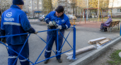 Бастрыкин взял под контроль дело о стае собак у школы в Уфе