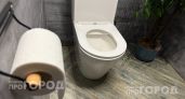 Ваша поза на унитазе разрушает здоровье: измените привычку сегодня чтобы забыть о проблемах с кишечником