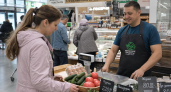 Огурцы в Башкирии подешевели почти на 15% за неделю