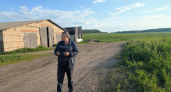В Башкирии продают советский коровник на 682 «квадрата» за 450 тысяч