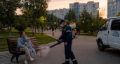 Уфу атакуют комары: куда ушли деньги на обработку и почему это не помогло