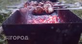 Забудьте про уксус и лук: секретный ингредиент из мусорного ведра сделает ваше мясо нежнее любого деликатеса