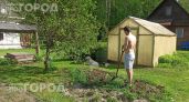 Провел простой тест с полотенцем на даче и нашел клещей: вот как обезопасить участок за пять минут прямо сейчас