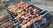 Перестаньте портить мясо на углях: пять скрытых ошибок в маринаде, из-за которых ваш шашлык становится жестким