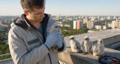 Птенцам сапсанов на крыше банка в Уфе дали добро на здоровье