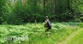 Комары больше не приблизятся: смешайте эти два простых продукта с кухни вместо покупки дорогих флаконов