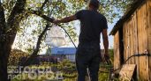Все смеялись над моими пакетами с водой на грядках: этот простой трюк отпугивает вредителей лучше дорогой химии