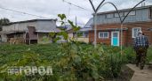 Опрыскал кусты перед сном и забыл о тле навсегда: копеечное средство из аптеки спасло мой богатый урожай