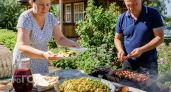 Больше никакого картофеля к мясу: готовлю молодую капусту по секретному методу который съедают первым
