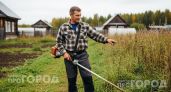Выкиньте леску из триммера прямо сейчас: этот копеечный лайфхак избавит вас от лишних трат и мучений на даче
