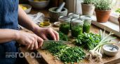 Больше не сушу укроп на зиму: измельчаю его с чесноком в ароматную пасту для любых блюд и бутербродов