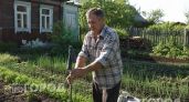 Комары облетают мой участок стороной: показываю, как один старый носок на палке спасает от укусов на весь вечер