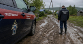 Бастрыкин поставил на контроль дело о разбитой дороге к деревне Тугай