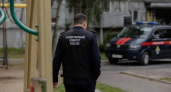 В Стерлитамаке после нападения стаи собак на ребенка возбудили уголовное дело