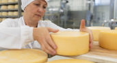 Башкирия увеличила выпуск сыра на 6,5% и вошла в тройку ПФО