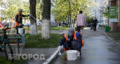 Все считали побелку деревьев пережитком прошлого: на самом деле это скрытая защита с военной историей