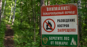 В лесах Башкирии с начала года установили 236 аншлагов против пожаров