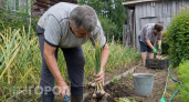 Храните чеснок правильно и забудьте о порче: мой проверенный метод гарантирует свежесть до самого лета