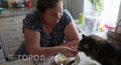 Вы медленно убиваете своего питомца: список привычных продуктов с вашего стола, которые губят кошек