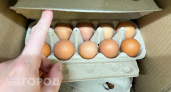 Вы совершаете опасную ошибку на своей кухне: почему мытье куриных яиц перед готовкой вредит вашему здоровью