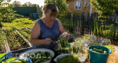 Больше не трачу время на сложную засолку: эти огурцы по-немецки готовятся за минуты и исчезают со стола первыми