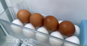 Хватит портить продукты: узнайте, почему дверца холодильника — самое опасное место для хранения яиц