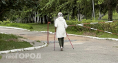 Забудьте про аптечные препараты: пять ежедневных привычек помогут вам очистить сосуды от холестерина