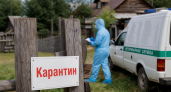 В Башкирии ввели карантин по бешенству в Баймакском районе