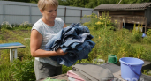Больше не выбрасываю старые джинсы: нашла простой способ превратить их в удобные органайзеры для дачи