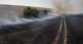 В Башкирии за сутки потушили лесной пожар и пять палов сухой травы
