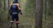 В Башкирии с начала сентября в лесах потерялись 18 человек