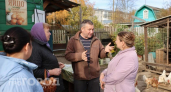 Хватит верить мифам: объясняю на пальцах биологию куриных яиц и почему петух здесь вообще ни при чем