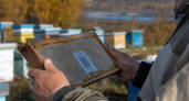 В Башкирии банки мёда начали маркировать QR-кодами для защиты от фальсификата