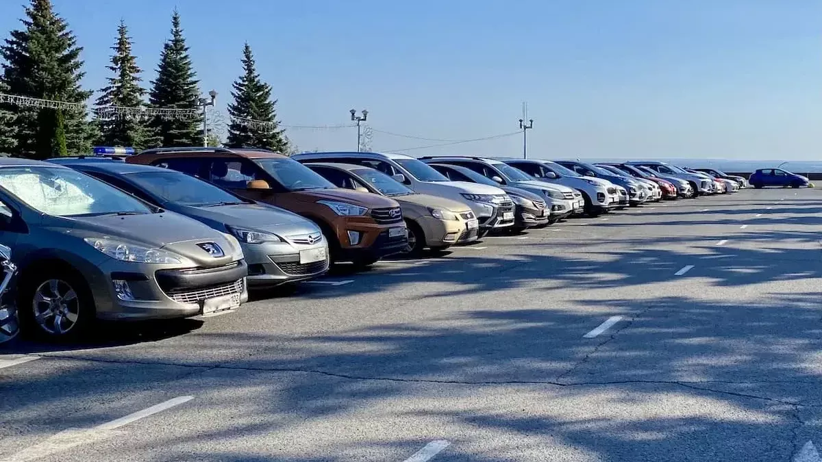 Toyota и Honda за 200 тысяч: таможня распродает конфискованные иномарки