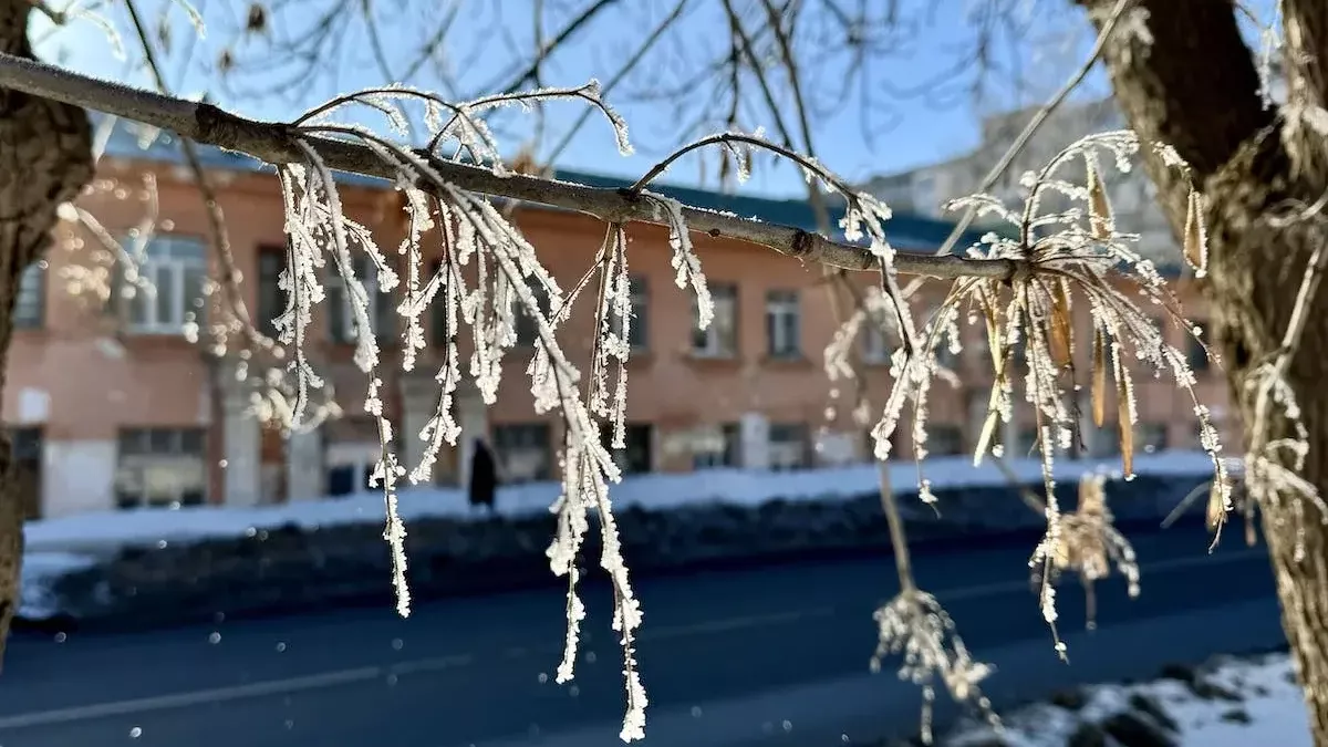 380 специалистов в Башкирии получат свой профессиональный праздник