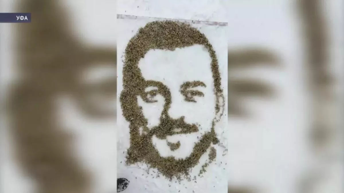 Художница из Уфы создала портрет биатлониста из 3000 гильз на снегу