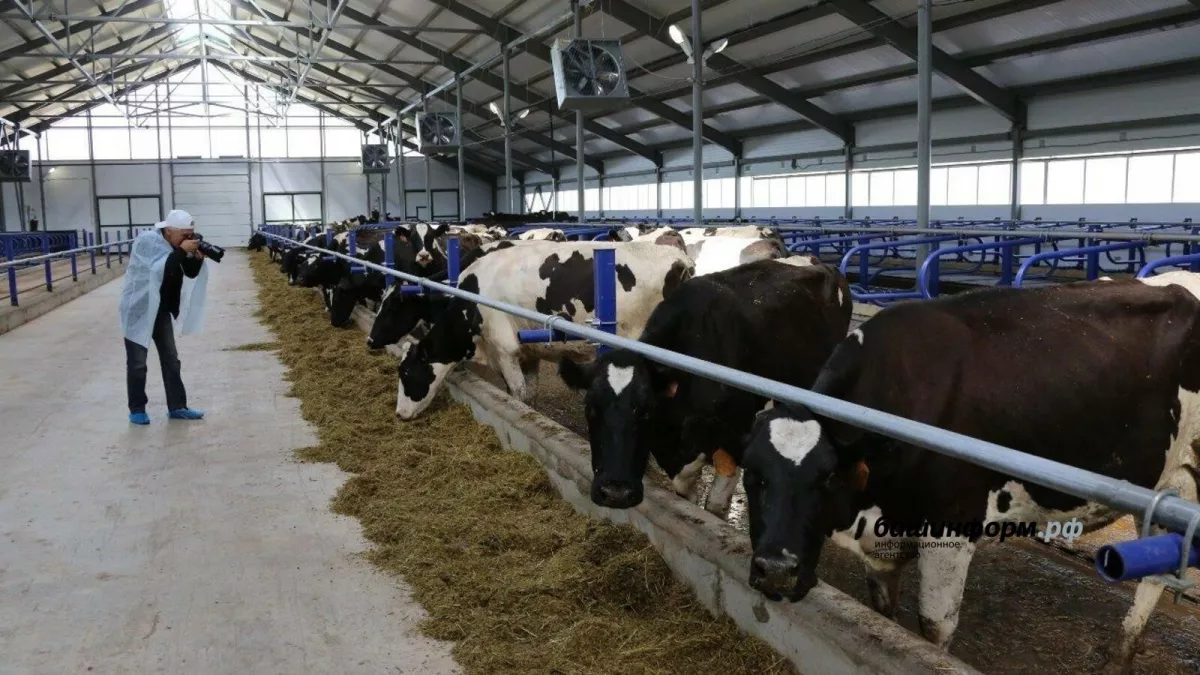 Башкирия потратит 8 млн рублей на создание суперкоров