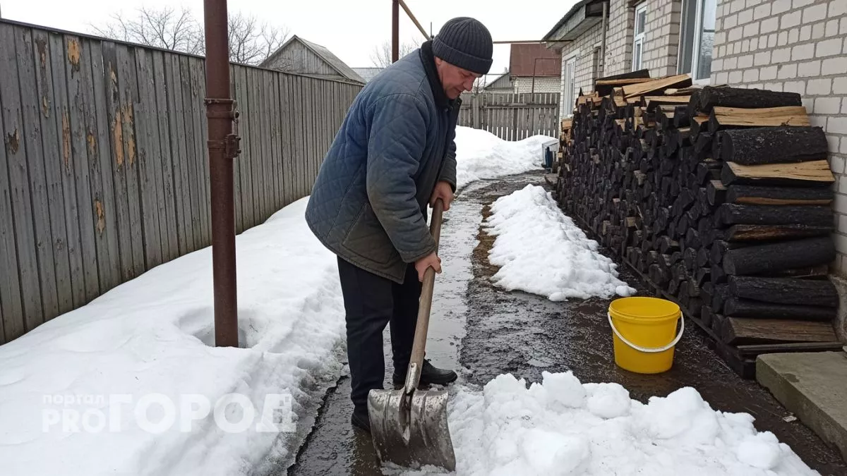 Бросили городскую суету ради деревенского рая: что мы узнали за 3 года и почему молчать нельзя