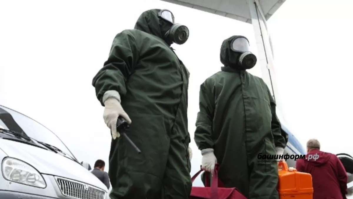 Башкирскую деревню закрыли на карантин из-за бешенства