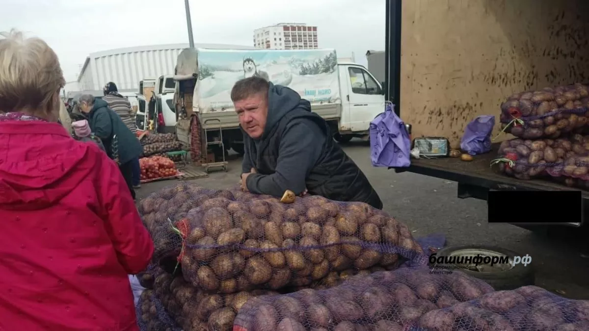 52 ярмарочные площадки откроются в Башкирии за три дня