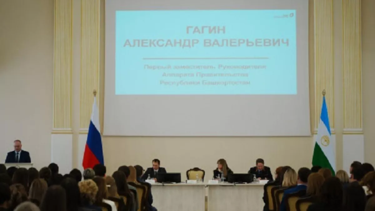 Семь миллионов обращений в МФЦ Башкирии за год — новый рекорд