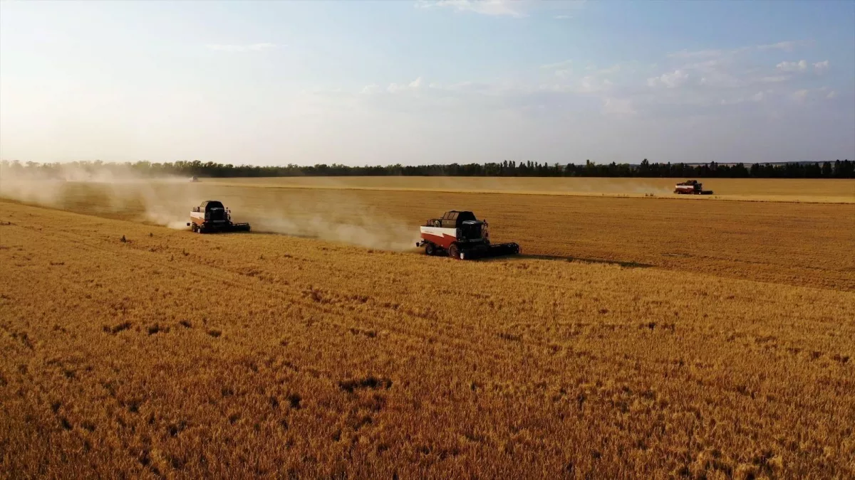 Башкирия обогнала Россию по росту сельхозпроизводства на 2%