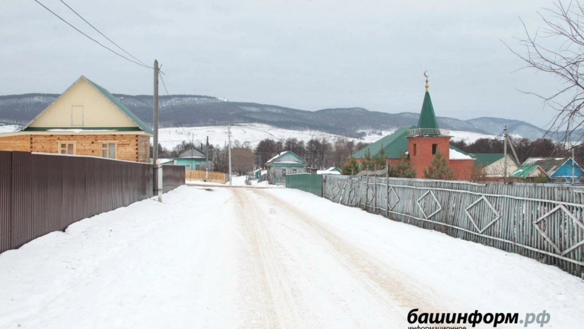 Жители Башкирии выбирают «Трезвое село» через Госуслуги до 27 марта