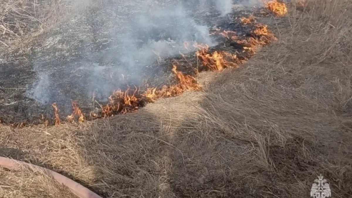 Башкирия мобилизует 12,3 тысячи человек для защиты лесов от пожаров