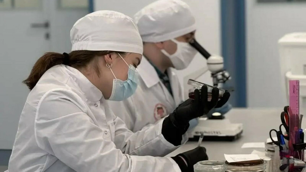 Уфимские учёные создали тест для определения «бактерии стройности» в организме