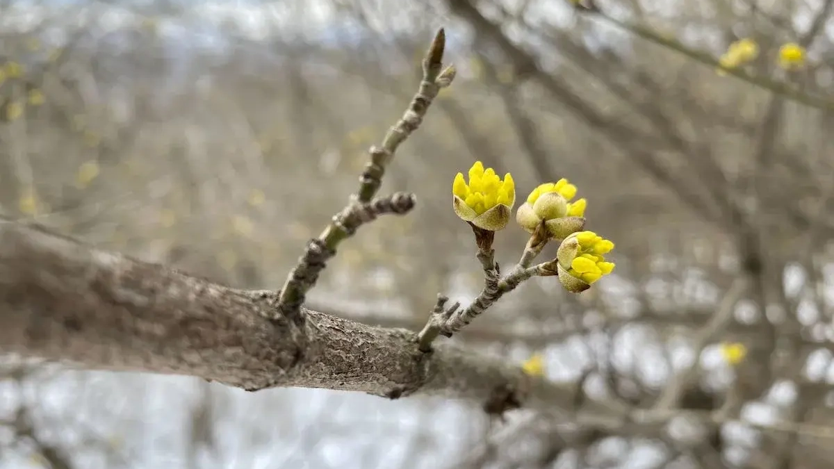 Школьники Башкирии отдохнут девять дней: каникулы с 28 марта по 5 апреля
