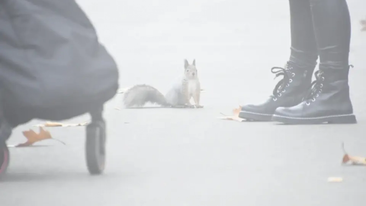 Синоптики пообещали Башкирии до +15 градусов уже к концу недели