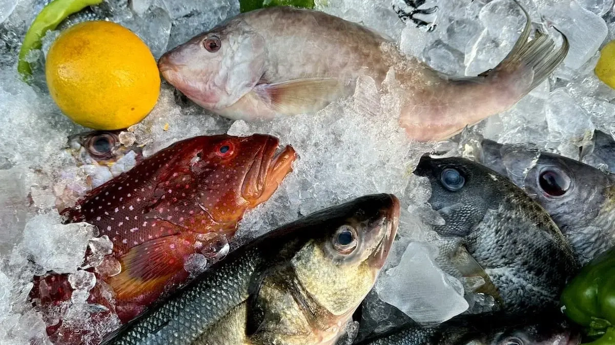 В Уфе изъяли 400 кг форели с поддельными ветдокументами