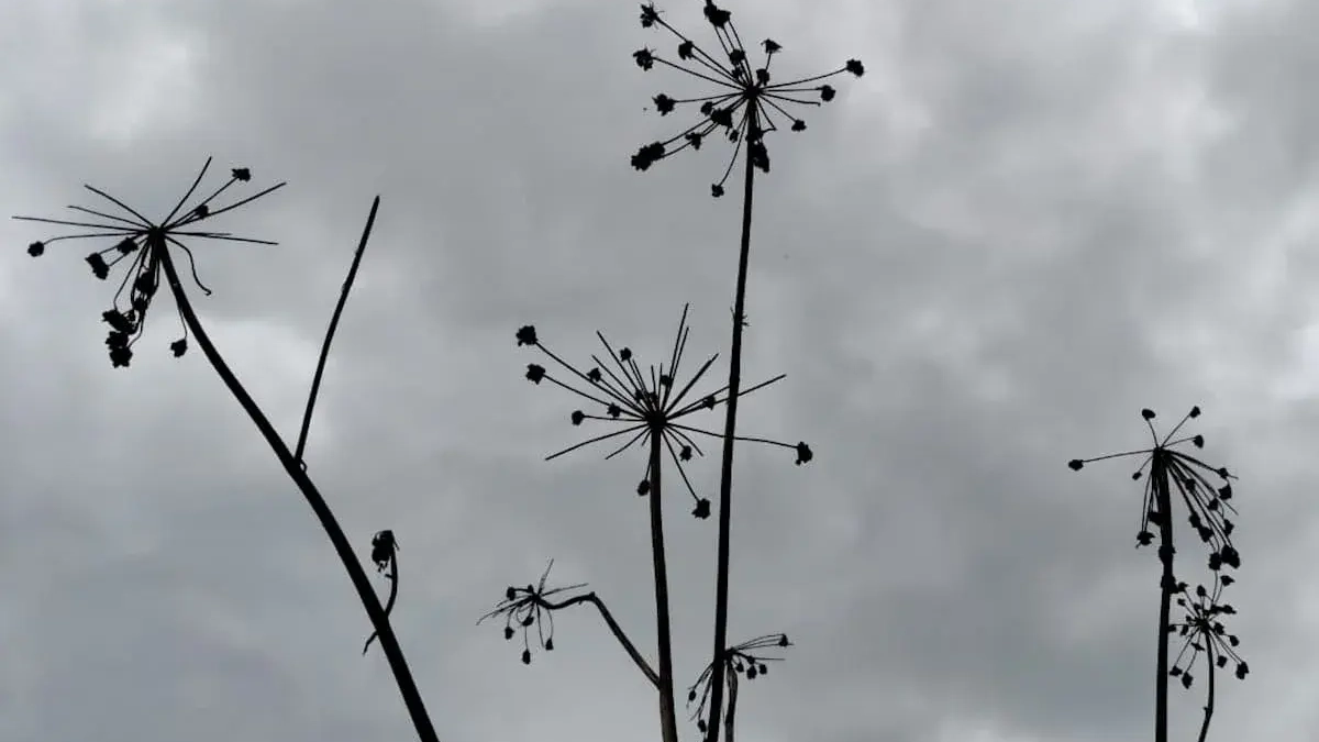 Воздух в Уфе оказался загрязнён хлоридом водорода в 6 раз выше нормы